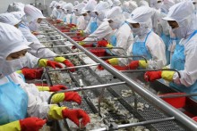 Vietnam’s shrimp king courts foreign investors to expand