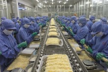 Vietnam may see little gains from Russian FTA