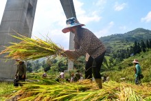 Vietnam aims to become a developed country by 2050