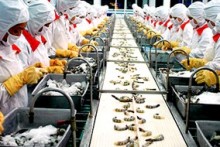 Vietnam completes negotiations for 3 of 6 major free trade pacts