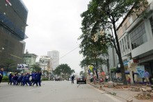 Nhà tài trợ: Chúng tôi không góp tiền để chặt cây xanh Hà Nội