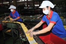 Vietnam outpaces neighbors in labor productivity growth: report