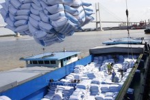 Vietnam expected to export 7 million tonnes of rice this year: Ministry