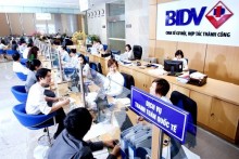 Vietnam lender BIDV sees 19 pct jump in annual pretax profit: investor