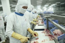 Vietnamese firms urged to demand TPP transparency, spell out concerns