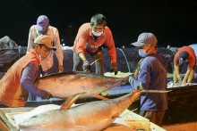 Seafood exports rise by 40 pct in Q1