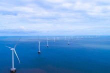 Cà Mau đặt mục tiêu đóng góp trên 6.500MW điện gió vào lưới điện