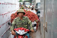 Mất gần 5 năm để quả vải tươi vào Mỹ, Australia