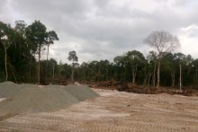 Giới đầu tư đổ xô ra Phú Quốc theo cơn sốt đất