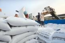 Xuất khẩu nông sản giảm gần một tỷ USD