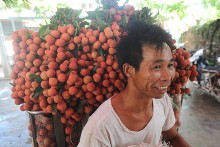 Kinh tế 6 tháng bớt lạc quan vì nông nghiệp, nhập siêu