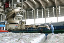 Soaring prices send fertilizer firms' profits skyrocketing