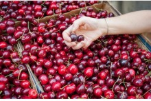 Consumers enjoy some fruits of US-China trade spat