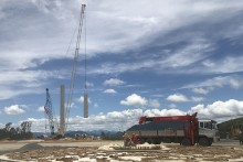 Wind power developers in central province rush construction to get incentive tariff