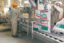 Hóa chất Đức Giang (DGC): Dự kiến chi 12.000 tỷ đồng đầu tư dự án tổ hợp tại Nghi Sơn