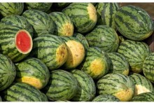 Fruits exports to China plunge