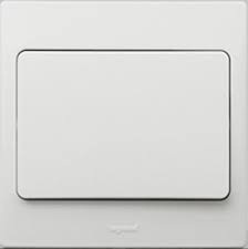 WHITE 1G 2W 10A SWITCH        