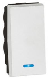 10AX SWITCH IND SP 2W1M MG AR