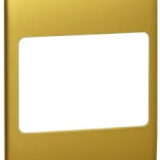 BRASS PLATE 2 GANG 45A SWITCH 