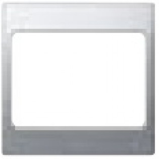 SILVERM BLANK 1G              