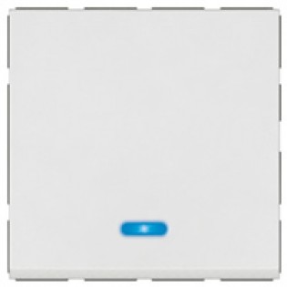 6A PUSH BUTTON IND 2W2M MG AR